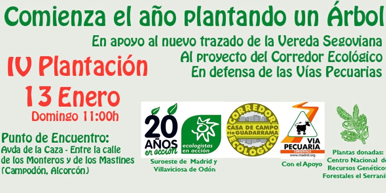 Plantación popular
