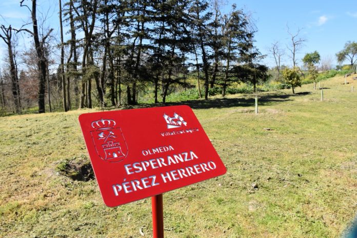 Homenaje Esperanza Pérez Herrero Villaviciosa