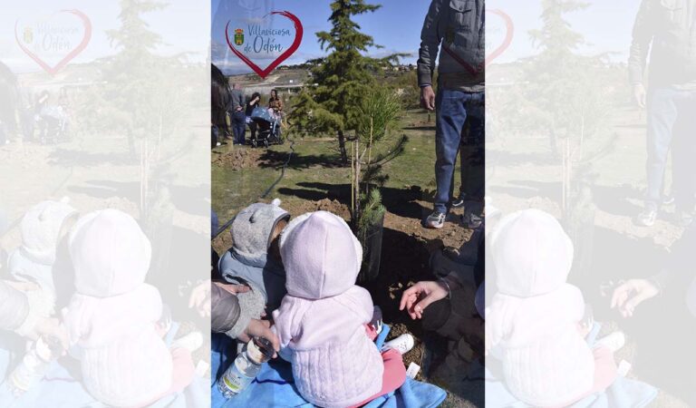 Los niños y niñas nacidos en 2019 tendrán su árbol