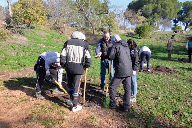 Plantación de olmos IES capacitación agraria