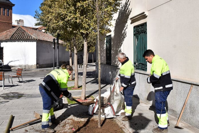 Villaviciosa de Odón