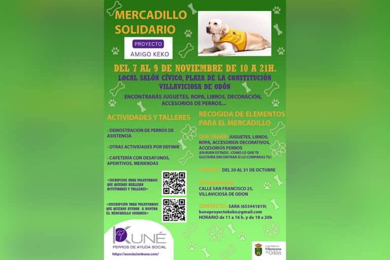 Villaviciosa de Odón