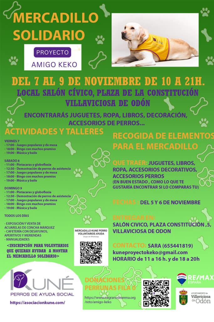 Villaviciosa de Odón