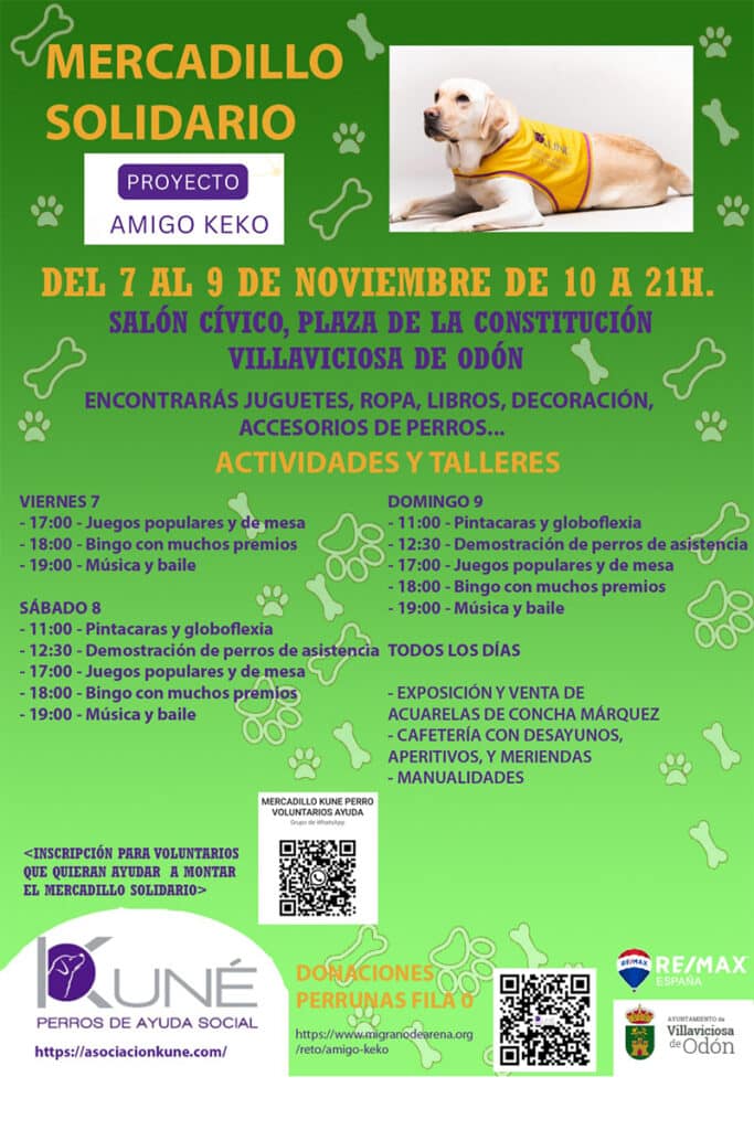 Villaviciosa de Odón