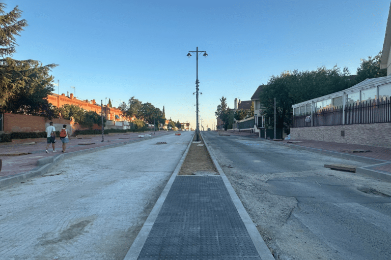 Villaviciosa de Odón